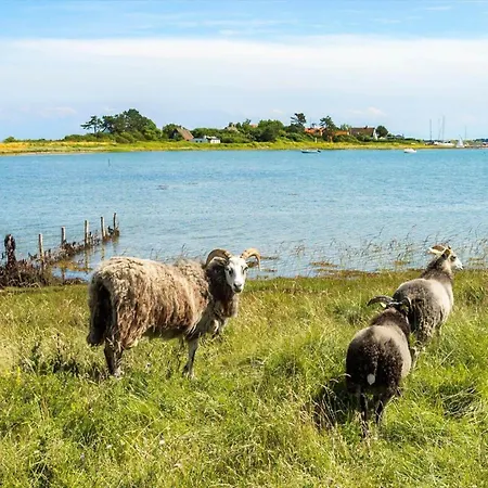 度假居 20219-samso-vestervang-27 *