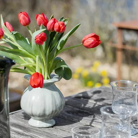 20219-samso-vestervang-27 *